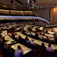 Miniatura per l'immagine della galleria29