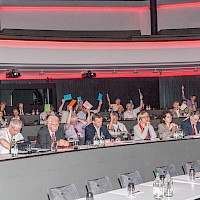 Miniatura per l'immagine della galleria29