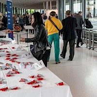 Miniatura per l'immagine della galleria31