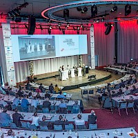 Miniatura per l'immagine della galleria95