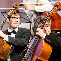 Miniatura per l'immagine della galleria12