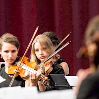 Miniatura per l'immagine della galleria17