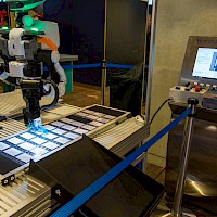 Miniatura per l'immagine della galleria8