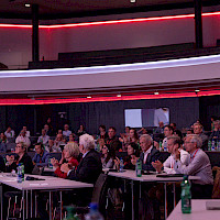 Miniatura per l'immagine della galleria25