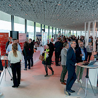 Miniatura per l'immagine della galleria33